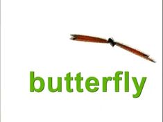 the word butterfly is written in green on a white background with an image of a flying insect