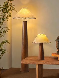 two lamps sitting on top of a wooden table next to a potted bamboo plant