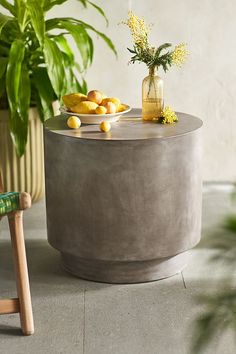 a table with some fruit on it and a plant in the corner next to it