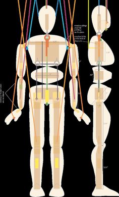 an image of a human body with different parts attached to the torso and back, including two