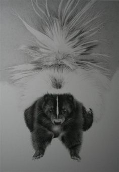 a black and white photo of a furry animal