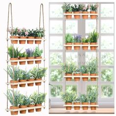 two pictures side by side with plants in pots on the same shelf and another photo showing hanging potted plants