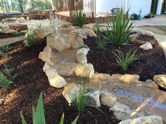 a garden with rocks and plants in it