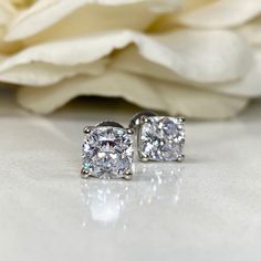 🐕 Big deals! Moissanite Cushion Cut Stud Earrings 14K White Gold, Simulated Diamond Stud Earrings, Ladies Simple Moissanite Birthstone Stud Earrings 7153 only at $265.00 Hurry. #DaintyStud #AprilBirthstone #HisAndHers #CushionCutEarrings #CushionStuds #StudEarrings #14kWhiteGold #BirthstoneEarrings #ScrewBack #MoissaniteStuds Diamond Heart Cut Earrings With Prong Setting, Classic White Heart Cut Diamond Earrings, Classic White Heart-cut Diamond Earrings, Heart Cut Prong Setting Fine Jewelry Earrings, Classic Heart Cut Diamond Earrings With Vvs Clarity, Classic Diamond White Heart Cut Earrings, Classic Heart Cut Brilliant Diamond Earrings, Classic Heart Cut Diamond White Earrings, Heart Cut Cubic Zirconia Earrings With Prong Setting