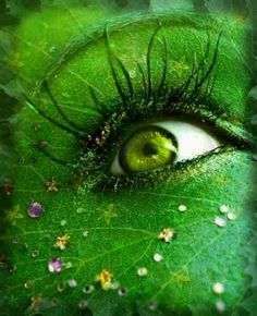 an eye with long eyelashes and green leaves