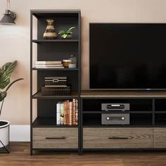 a living room with a large television on top of a book shelf next to a potted plant