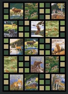 a quilt with pictures of animals and wildlife on it's sides, all in squares