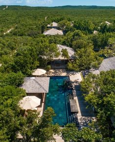 an aerial view of the pool and surrounding trees