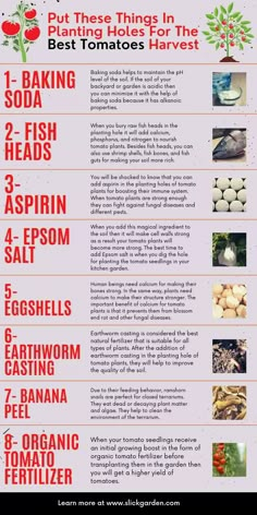 an info sheet describing the different types of vegetables