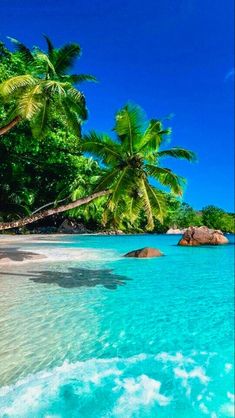 a tropical beach with palm trees and clear blue water in the foreground is an island