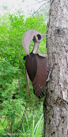 an old rusted metal bird head stuck in a tree