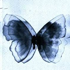 a black and white photo of a butterfly on a piece of paper with watercolor paint