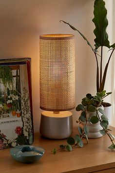 a lamp sitting on top of a wooden table next to a vase filled with plants