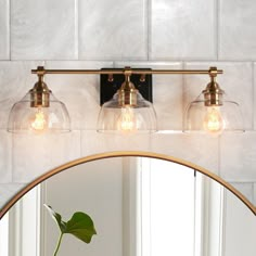 a bathroom vanity light with three bulbs on it