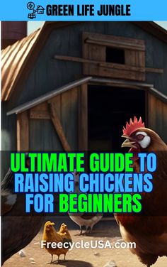 the ultimate guide to raising chickens for beginners