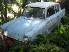 an old blue car is parked in the bushes near some trees and other greenery