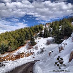 the road is covered in snow and surrounded by pine trees under a cloudy blue sky