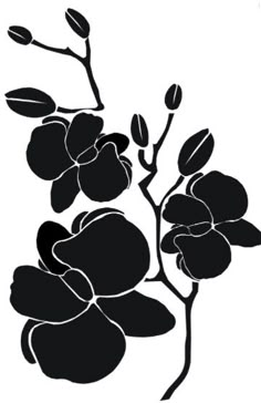 a black and white image of flowers on a branch