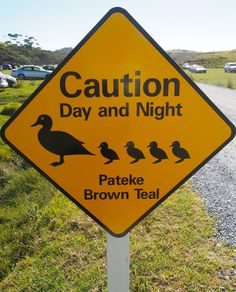 a yellow caution sign sitting on the side of a road