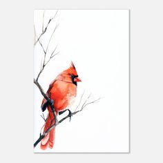 a red bird sitting on top of a tree branch next to a white wall with no leaves