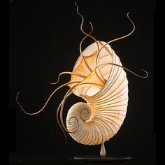 an intricately designed shell is displayed on a black surface with the light reflecting off it's side