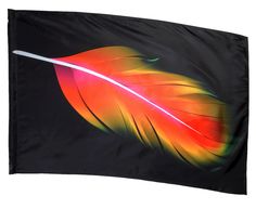 an orange and yellow feather on a black background