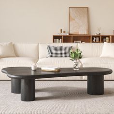 a living room with a couch, coffee table and bookshelf