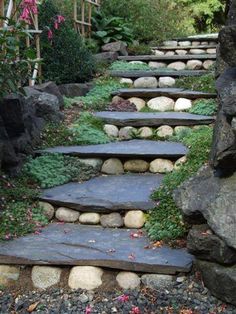 stone steps leading up to the top of a hill in a garden with plants and rocks