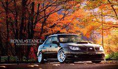 a car parked on the side of a road in front of trees with orange leaves