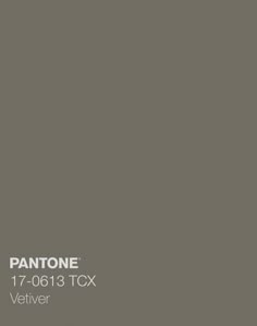 the pantone paint color is shown in this gray and white photo, it's very