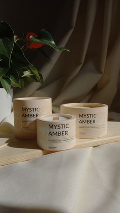 three candles sitting on top of a table next to a potted plant and white cloth