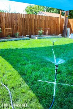 a sprinkler in the middle of a yard