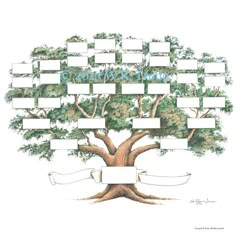 a family tree is shown with frames for photos and ribbons on the bottom left hand corner