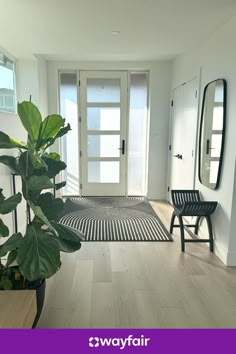 there is a plant in front of the door and two chairs on the other side