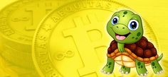 a close up of a coin with a cartoon turtle on it's back and an image of a bitcoin in the background