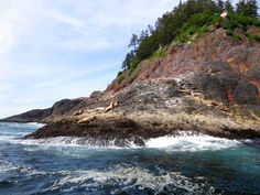 an island in the middle of the ocean with sea lions on it's rocks