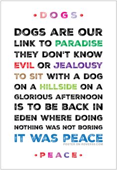 a quote that says dogs are our links to paradise