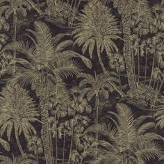 an image of a jungle scene with palm trees and other tropical plants in sepia