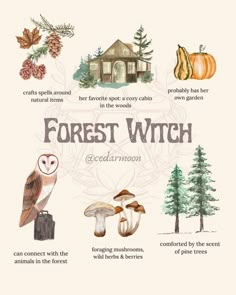 an illustrated guide to the forest witch