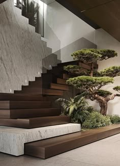 a very nice looking tree in the middle of some stairs