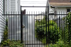 a fire hydrant sitting in front of a black fenced yard with trees and bushes