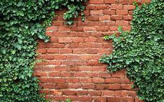 an old brick wall covered in green ivy