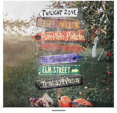 there are many signs on the pole in front of an apple tree that says twilight zone sleepy hollow pumpkin patch