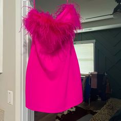 Size Small. Tags Still Attached. Hot Pink Dress With Feathers, Spring Feather Trim Mini Dress, Spring Evening Mini Dress With Feather Trim, Spring Chic Mini Dress With Feather Trim, Chic Spring Mini Dress With Feather Trim, Formal Summer Mini Dress With Feather Trim, Spring Mini Dress With Feather Trim, Summer Mini Dress With Feather Trim For Date Night, Spring Mini Dress With Feather Trim For Night Out