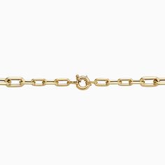 Our Aurum Link Bracelet features large graduated paperclip links with knife-edge detailing, for a high shine, bold and modern take on a classic style. Perfect for layering or wearing on its own, this bracelet will elevate any look. Product Details: Metal: 14 Karat Yellow Gold Weight: 9.2 Grams Construction: Hollow Links, Seniorita Clasp, Origin: Istanbul, Turkey Gold Piece, Gold Price, Istanbul Turkey, Jewelry Business, Pure Gold, Paper Clip, Link Bracelets, Gold Vermeil, Istanbul