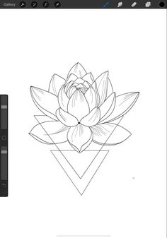 an image of a lotus flower in the middle of a line drawing style, on a computer screen