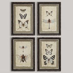 four framed pictures with bugs and butterflies in them on a white background, one is black and the other is beige