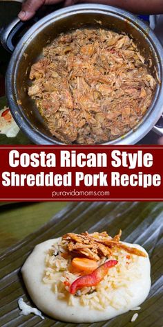 mexican style shredded pork recipe with rice and salsa