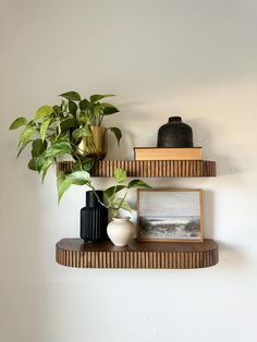 two shelves with plants and pictures on them