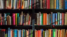 many books are lined up on the shelves in this library, all different colors and sizes